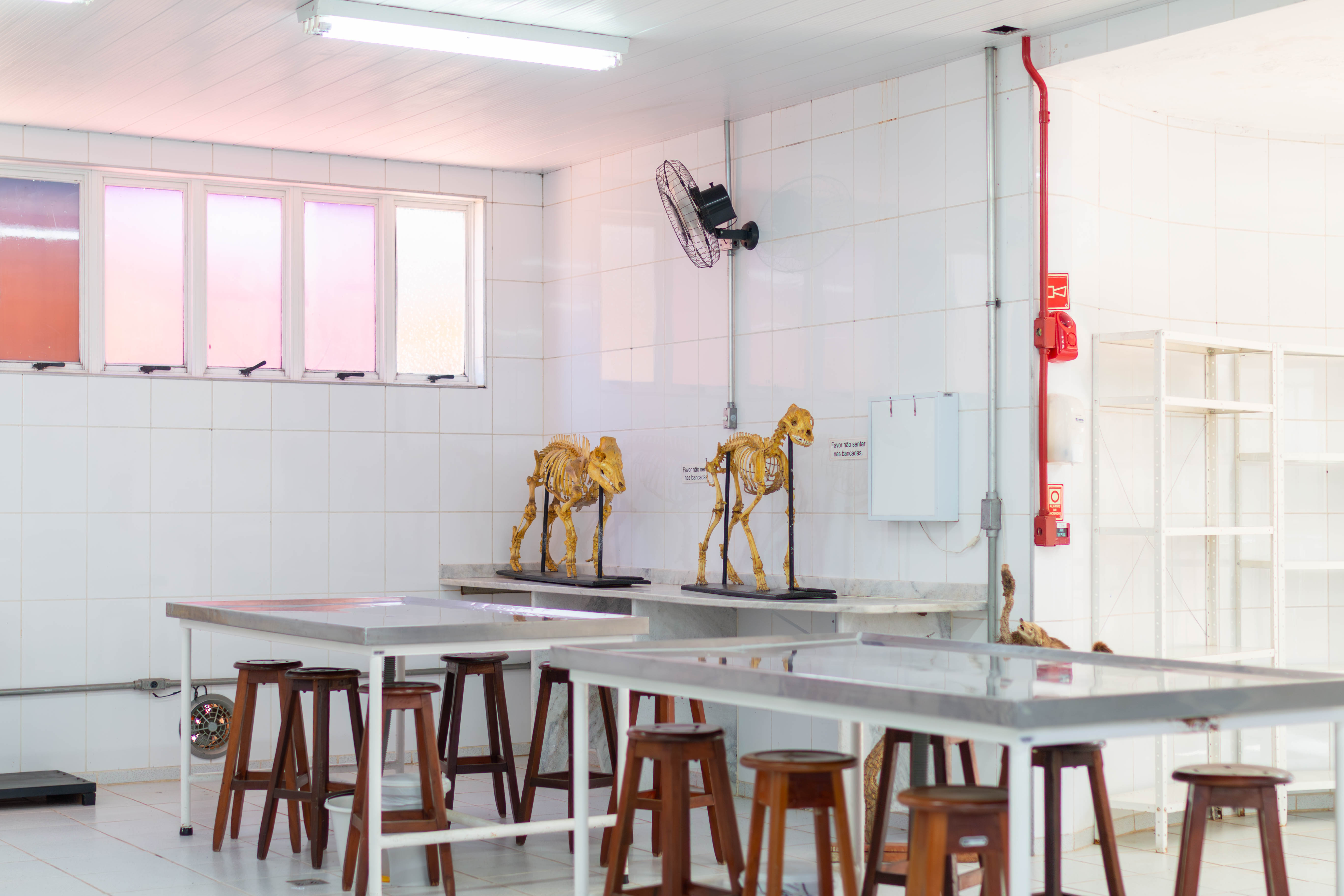 Foto das instalações do curso - Imagem 3